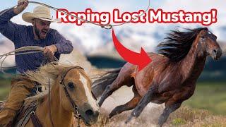 We Try to Catch a Wild Mustang Again