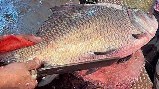 Giant Katla Fish Cutting Skills Live In Fish Market  Amazing Cutting Skills In Bangladesh