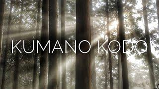 5 Days on the Kumano Kodo 熊野古道 - day by day