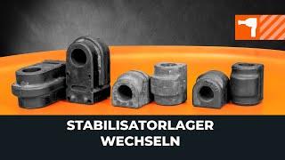 Stabilager wechseln AUTODOC TUTORIAL