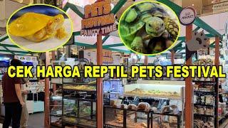 Cek Harga Reptil Di Pets Festival