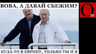 Нож в псину Лукашенко вводит безвиз с Европой. Дальше будет проситься в ЕС и НАТО