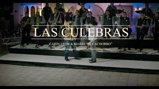 Carin Leon Ft. Mario El Cachorro Delgado - Las Culebras