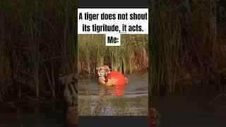 be the tiger in you  #shorts #memes