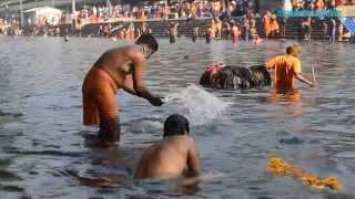 Save Pamba  Sabarimala Devotees to Keep Pamba River Clean  Manorama Online