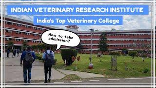 How to take admission in IVRI Bareilly  Indias one of the best veterinary college  BVSc & AH