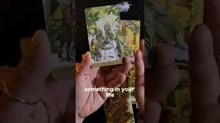 Embrace Change  TAROT  ORACLE  DIVINATION