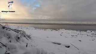 Cook Inlet Alaska Tides 12242023