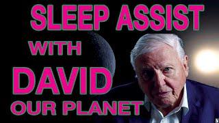 OUR PLANET VOICE OF SIR DAVID ATTENBOROUGH SLEEP ASSIST