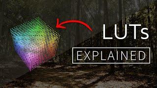 LUTs Explained 1D vs 3D LUT?