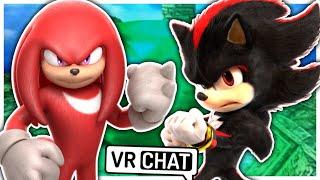 Movie Knuckles Meets Movie Shadow In VR CHAT