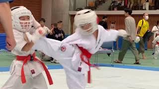 【新極真会 空手】第41回全四国空手道選手権大会ハイライト　SHINKYOKUSHINKAI KARATE Martial Arts