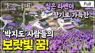 Full Korea Travel - Flower Garden I Drawn Part 5 Purple Dream