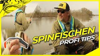 SPINNFISCHEN auf WELS mit Stefan Seuss  Tips & Tricks  Wallerangeln mit Gummifisch un spinrute.