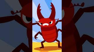 #Shorts  Rhino Beetle vs. Stag Beetle  #JunyTony #KidsSongs