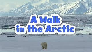 A Walk in the Arctic for Kids  Educational Video for Early Learners