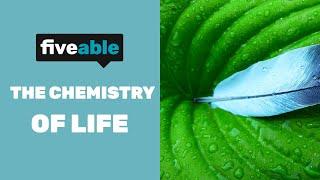 AP Biology The Chemistry Of Life