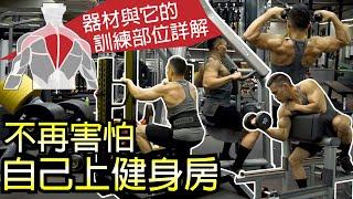 Beginners Guide How to Use Gym Equipment Covering Full Body │ Muscle Guy TW │2019ep51