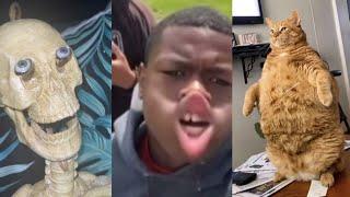 UNUSUAL Memes PART 54  Best Funny Videos Compilation 2024  TRY NOT TO LAUGH