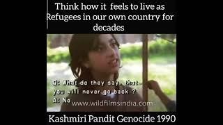 In Our Own Country Live as Refugee #KashmirFiles