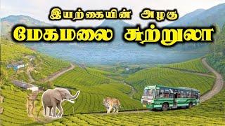 மேகமலை சுற்றுலா முழுத் தகவல்  Meagamalai Tourist Places  Megamalai tourism  INTERESTING ONE