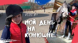 КОНОБЛОГ Vlog#1. МОЙ ДЕНЬ НА КОНЮШНЕ