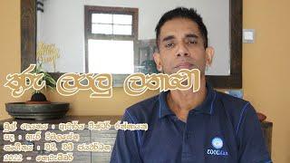 Thuru Lapalu Lathawo  Dr. Victor Ratnayake  Cover Rajeev Siriwardena