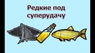 Русская Рыбалка 3.99 Russian Fishing Ловим редкости под суперудачу #2