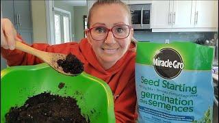 How to CLEAN your soil BEFORE planting seeds  Kill Fungus Gnat Larvae