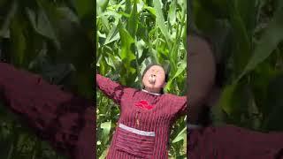 video lucu  keluarga lucu  #funny #shorts #family