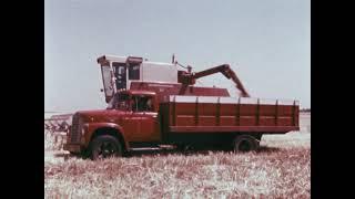 Wheat From Field To Flour 1973