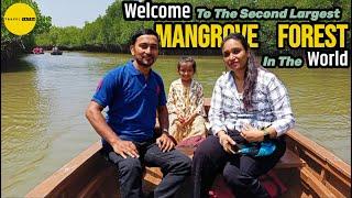 Pichavaram Mangrove Forest  How To Visit Pichavaram  Worlds Second Largest Mangrove Forest