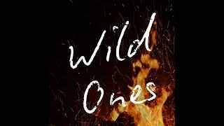 Shuree Hoffman - Wild Ones Lyric Video