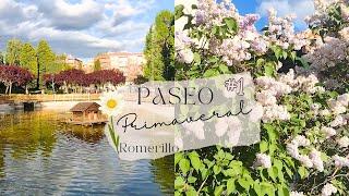 PASEO PRIMAVERAL #1Mini video de mis paseos en las tardes @Romerillo  #primavera #flores #relax