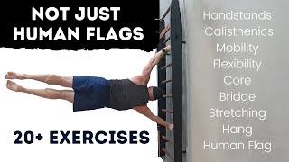 Must Try Exercises for Stall Bars Wall Bars and Swedish Ladder