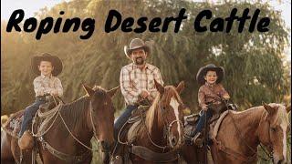 Roping Desert Cattle on Bundy Ranch