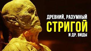 Мутации Стригоев Древние Разумные Ищейки и др. ШТАММ