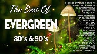 Greatest Relaxing Love Songs 80s 90s  The Most Romantic Evergreen Songs Of All Time Playlist