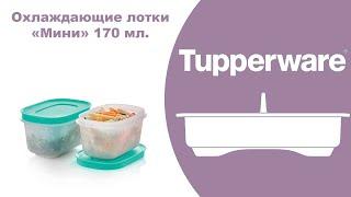 Охлаждающие лотки 170 мл Tupperware