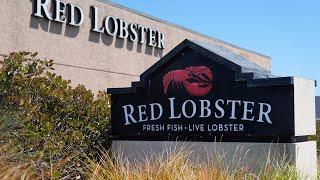 Red Lobster shuts down 40 restaurants  Is the food chain filing for bankruptcy protection?