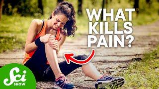 Why We Feel Pain and How We Kill it  A Look at Pain & Painkillers