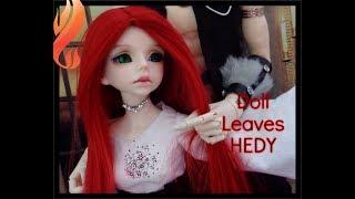 Box opening Hedy Doll Leaves MSD BJD doll