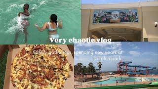 Chaotic vlog First time at cinema pizza outing with fam new years at dolphin park.