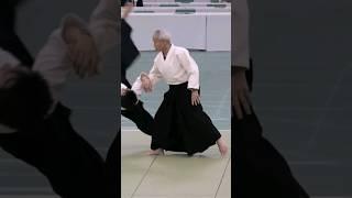 Aikido Doshu UESHIBA #aikido #aikikai