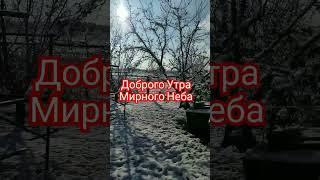 #доброеутро #доброгодня #зима #снег #осень #погода #природа #люблюприроду #люсимили #мирногонеба