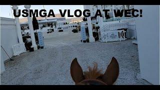 World Equestrian Center  MGA Summer Finale