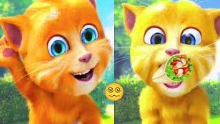 Talking Ginger Funny Videos ll talking ginger 2 ll ginger cat funny videos ll Game ll