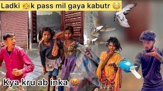 Ladki ne bachaya kabutr   Girl hiding my white pigeon 