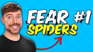 How To Make Mrbeast Spider Text Effect in Premiere Pro