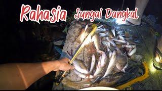 Fishing Overnigt Menembak IkanMenyelam Ikan Di Sungai Dangkal Perdalaman kalimantan